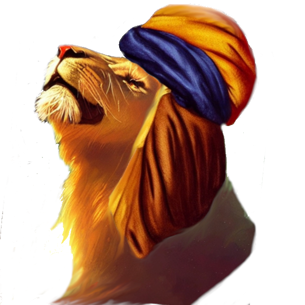 Hemo Consulting Logo – Lion head with turban